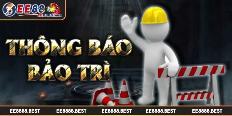 Cập nhật và nâng cấp hệ thống